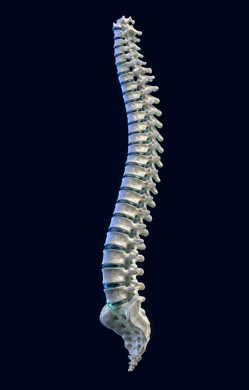 Representação anatômica da coluna cervical para avaliação de dor no pescoço em Goiânia